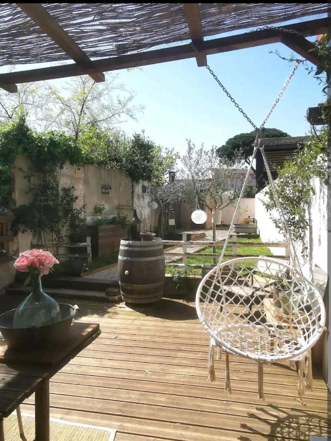 La Maison De Marie - Jardin Arbore - Garage Privatif - Netflix Carcassonne Exterior foto